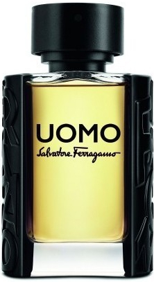 Salvatore Ferragamo Uomo toaletní voda toaletní voda pánská 100 ml