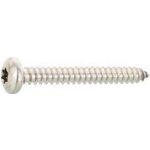 DIN7981C 3.9 x 60 Torx15 vrut do plechu, čočková hlava, nerez A4 – Hledejceny.cz