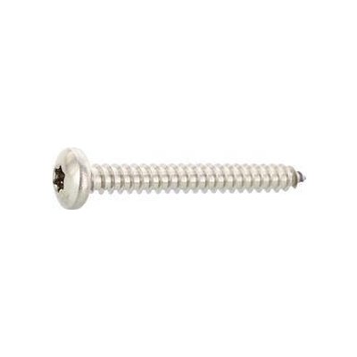 DIN7981C 3.9 x 60 Torx15 vrut do plechu, čočková hlava, nerez A4 – Hledejceny.cz