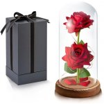 Yugefom dárek pro ženu Věčná růže ve skleněné kopuli s LED světlem Dřevěný podstavec Růže dárek pro – Zboží Dáma