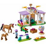 LEGO® Friends 41746 Trénink koní – Zboží Mobilmania