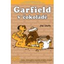 Garfield v čokoládě č.45 - Davis Jim