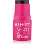 essence WHAT A TINT! multifunkční líčidlo na rty a tváře 10 Raspberry Vibes 5 g – Hledejceny.cz