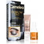 Delia Cosmetics Cameleo krémová profesionální barva na obočí 1.0 Black 15 ml – Zboží Dáma