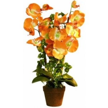 82530325 - Europalms Orchidej oranžová, 57 cm - 0