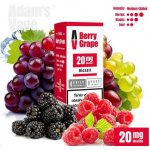Adams Vape Salt Berry Grape 10 ml 20 mg – Sleviste.cz