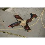 Let stíhačkou L-29 Delfín – Hledejceny.cz