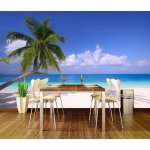 Dimex XL-168 vliesová fototapeta na zeď Beach rozměry 330 x 220 cm – Hledejceny.cz