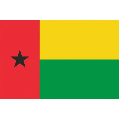 Guinea - Bissau vlajka - 100 x 150 cm - tunel, karabina – Hledejceny.cz