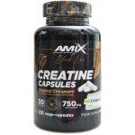 Amix Black Line Creatine Creapure Capsules 120 kapslí – Zboží Dáma