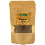 BioNeBio Kmín celý Bio 40 g – Hledejceny.cz