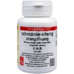 Sinecura Rehmánie Sheng shengdihuang extrakt 20 g – Hledejceny.cz