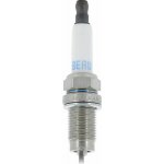 Zapalovací svíčka BorgWarner (BERU) UPT3 – Hledejceny.cz