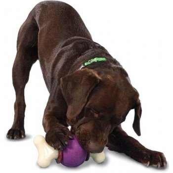 Petsafe Busy Buddy Bouncy Bone M