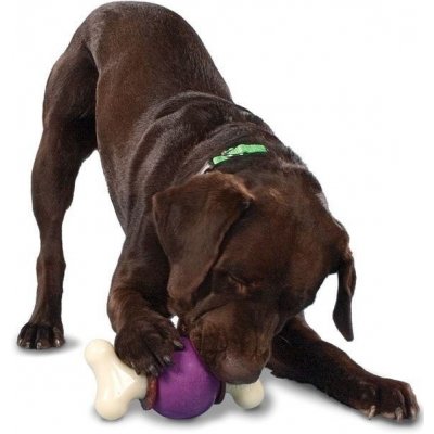 Petsafe Busy Buddy Bouncy Bone M – Zbozi.Blesk.cz