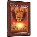 Africké kočky: Království odvahy DVD
