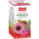 Apotheke Bylinný sirup Echinacea 250 g