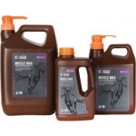 FORAN Equine Muscle Max 2,5 l – Hledejceny.cz
