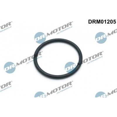 Těsnění, vodní čerpadlo Dr.Motor Automotive DRM01205 – Zbozi.Blesk.cz