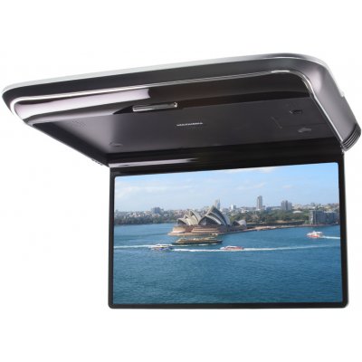 Stualarm DS-139ACBL | Zboží Auto