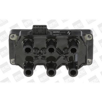 Zapalovací cívka BorgWarner (BERU) ZS301 – Hledejceny.cz