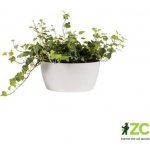 Elho žardina Brussels Bowl white 23 cm – Hledejceny.cz