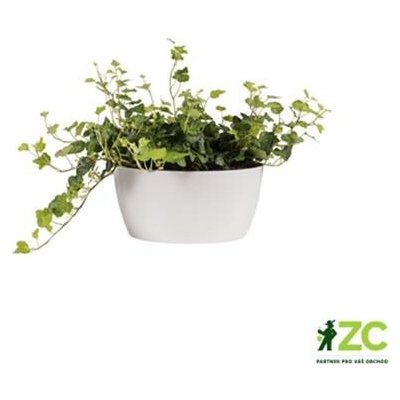 Elho žardina Brussels Bowl white 23 cm – Hledejceny.cz