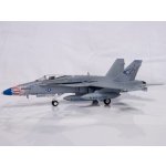 Hornet Witty Wings F A-18C USN VFA-146 Blue Diamonds NG300 CAG R.C.Thomps 1:72 – Hledejceny.cz