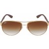 Sluneční brýle Ray-Ban RB8313 001 51