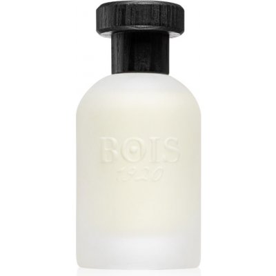 Bois 1920 Real Patchouly parfémovaná voda unisex 100 ml