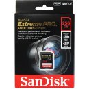 paměťová karta SanDisk SDXC UHS-II 256 GB SDSDXDK-256G-GN4IN