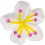 Knoflík plastový kytka 21mm Varianta: bílá – Zboží Dáma