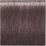 Schwarzkopf Professional Igora Royal Color 8-19 světlá blond popelavě fialová 60 ml – Zboží Dáma