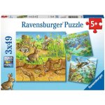 Ravensburger Zvířátka ve svých domovech 3 x 49 dílků – Zboží Dáma