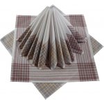 Etex Pánské kapesníky bavlna světlý dezén – Zboží Dáma