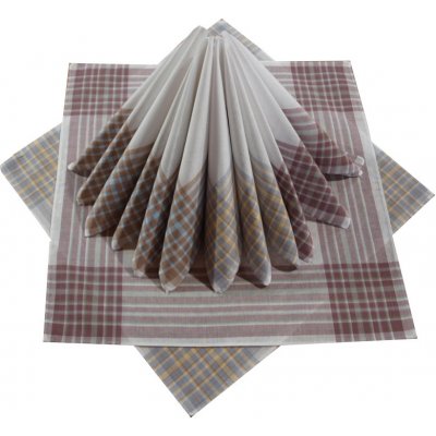 Etex Pánské kapesníky bavlna světlý dezén – Zboží Dáma