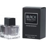 Antonio Banderas Seduction In Black toaletní voda pánská 100 ml – Hledejceny.cz