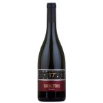 Casal do Ramilo 100 Hectares 17 Tinto suché červené 2017 17% 0,75 l (holá láhev) – Hledejceny.cz