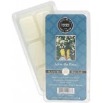 Bridgewater Candle Company Vonný vosk After The Rain po dešti 73 g – Hledejceny.cz