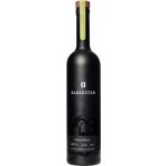 Bareksten Illsint Absinth 60% 0,5 l (holá láhev) – Zboží Dáma