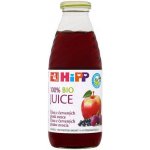 HiPP BIO Z červených plodů ovoce 500 ml – Zboží Dáma