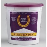 Electro Dex Elektrolyt 2,27 kg – Zboží Dáma