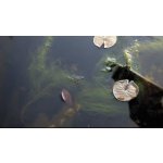 Oase Algo Universal 500ml 50542 – Sleviste.cz