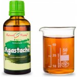 Bylinné kapky Pavlovy bylinné kapky Agastache tinktura 50 ml – Hledejceny.cz