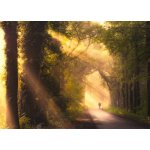 Pohlednice Ráno – Zboží Mobilmania