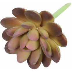 Umělý sukulent lotos Graptopetalum 9,5 cm