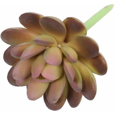 Umělý sukulent lotos Graptopetalum 9,5 cm – Zboží Mobilmania
