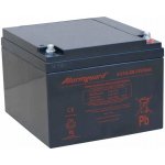 Alarmguard 12V 26Ah CJ12-26 – Zboží Živě