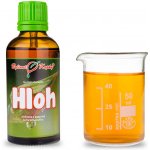 Hloh tinktura z pupenů (gemmoterapie) 50 ml doplněk stravy – Hledejceny.cz