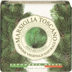 Nesti Dante Marsiglia Toscano mýdlo Pino selvatico 200 g – Zboží Dáma